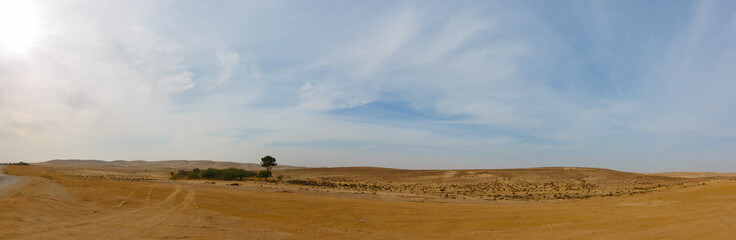 Fototapeta na wymiar Wide panorama of desert after rain