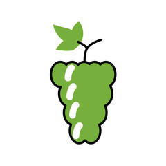 Grapes, grape vines. Vector flat line