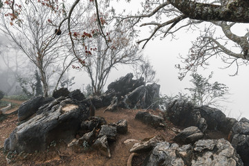 Fototapeta na wymiar Black rock on cliff surrounded by fog