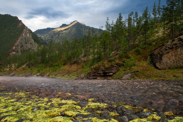 The rocky and dry riverbed in the mountains. Indigirka River. Yakutia. Russia.