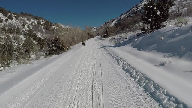 Snowmobile recreation winter mountain trail POV. Snowmobile trail ride across high mountain meadow and forest. Recreation and fun exploring the wilderness and remote areas of Central Utah.
