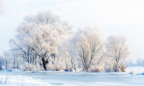 Landscape with trees, frozen water, ice and snow on the Dnieper river in Kiev, Ukraine, during winter