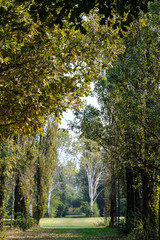 Milan (Italy): Parco Nord at fall