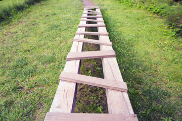 Path from wooden hammered boards on green herbs a background