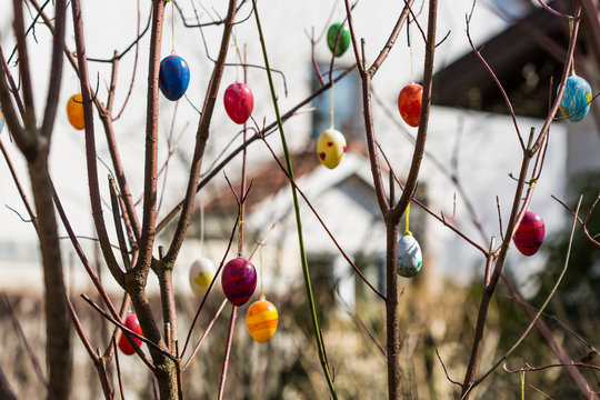 bare bush decorated with varicolored eggs