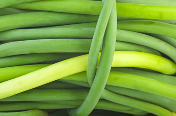Fresh green garlic sprouts