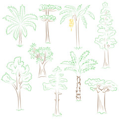 Hand Drawn Set of Green Trees. Doodle Drawings of Palms, Sequoia, Aloe, Acacia, Ceiba  in Sketch Style. Vector Illustration.