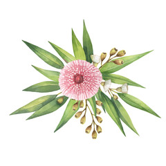 Watercolor vector bouquet with green eucalyptus leaves and branches.