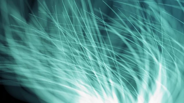 Background animation of flowing streaks of light, abstract animation.