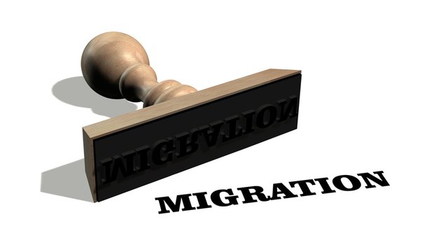 migration - Wooden stamp with the word migration isolate on white background