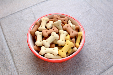 Red bowl full of dog biscuits on grey tile