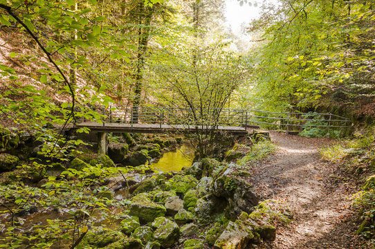 Twann, Twannbachschlucht, Schlucht, Wanderweg, Waldweg, Naturweg, Wald, Herbst, Br&uuml;cke, Herbstfarben, Herbstwanderung, Jura, Schweiz