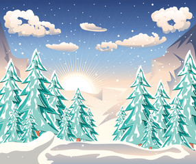 Winter Forest Landscape