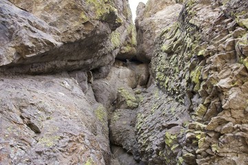 Upclose Desert Rock with moss