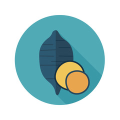 Sweet potato flat icon. Batata. Vegetable vector