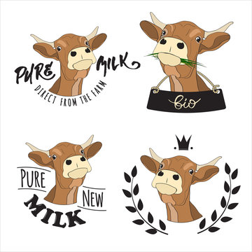 Set of vector logos with cows for badges, labels and design 
