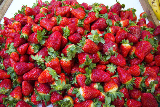 fresones frutas en un mercado de huesca aragon espa&ntilde;a