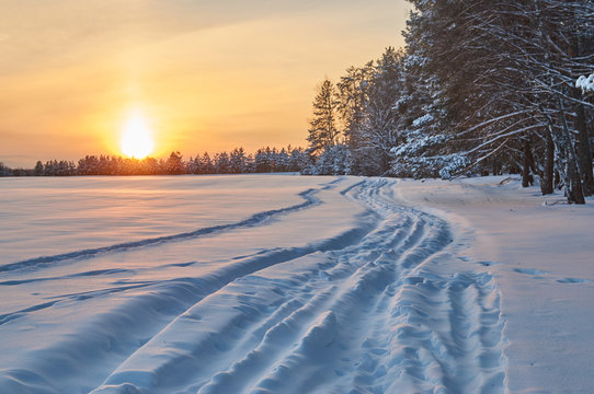  Winter landscape with a dirt road near the coniferous forest at  sunset