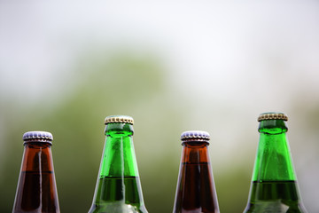 beer bottles with green copyspace background.