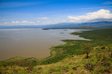 Fototapeta na wymiar Nechisar National Park (Arba Minch, Ethiopia)