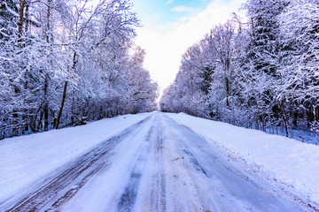 winter road in the woods