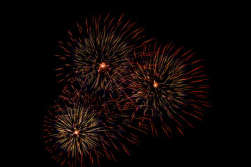 Fireworks light up the sky