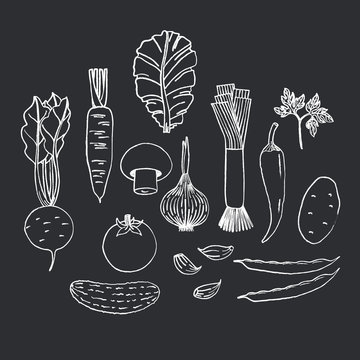 Set of hand drawn vegetables on black background