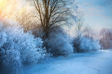 beautiful winter background; winter landscape On A Hoar Frost