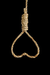 Noose rope shaped heart