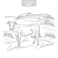 Fototapeta na wymiar Cow in a graphic style, hand-drawn vector illustration.