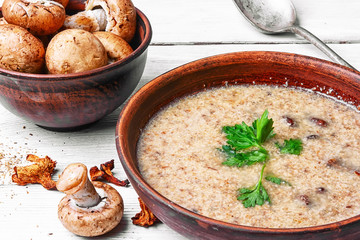 Mushroom creamy Soup