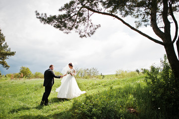 Elegance wedding couple at their day background pine forest. Hap