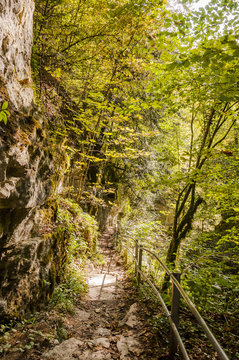 Twann, Twannbachschlucht, Schlucht, Dorf, Wanderweg, Wald, Waldweg, Naturweg, Felsen, Felswand, Herbst, Herbstfarben, Jura, Schweiz