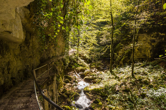 Twann, Twannbach, Twannbachschlucht, Schlucht, Felsw&auml;nde, Wanderweg, Wald, Waldweg, Herbst, Herbstfarben, Herbstwanderung, Jura, Schweiz
