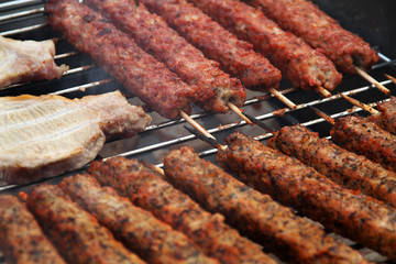 Lamb kebab and pork chops on home barbecue grill.