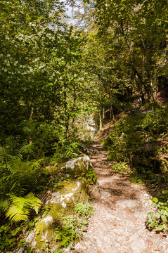 Twann, Twannbachschlucht, Schlucht, Twannberg, Dorf, Wanderweg, Wald, Waldweg, Naturweg, Herbstwanderung, Herbst, Jura, Schweiz