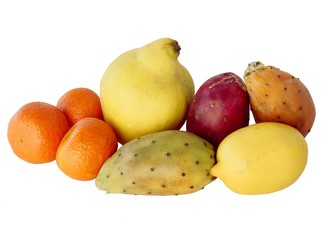 multicolor  fruits fromm all over the world