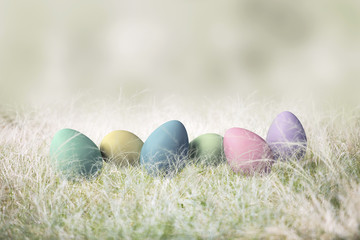 Easter Eggs in Grass for Hunt