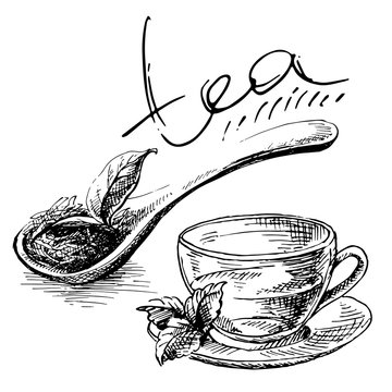 wooden spoon with tea leaves and cup of tea in graphic style, hand-drawn vector illustration.