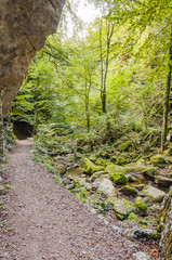 Obraz premium Twann, Twannbachschlucht, Schlucht, Wanderweg, Waldweg, Wald, Herbst, Herbstwanderung, Herbstfarben, Felswand, Jura, Schweiz