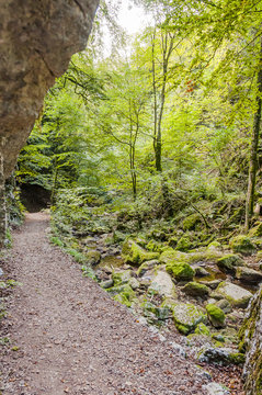 Twann, Twannbachschlucht, Schlucht, Wanderweg, Waldweg, Wald, Herbst, Herbstwanderung, Herbstfarben, Felswand,  Jura, Schweiz