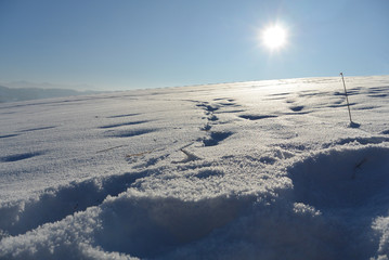 Schneefläche mit Spuren