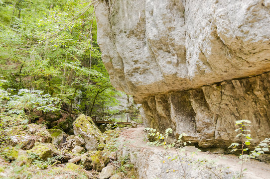 Twann, Schlucht, Twannbachschlucht, Felswand, Wanderweg, Wald, Waldweg, Jurastein, Herbst, Jura, Schweiz