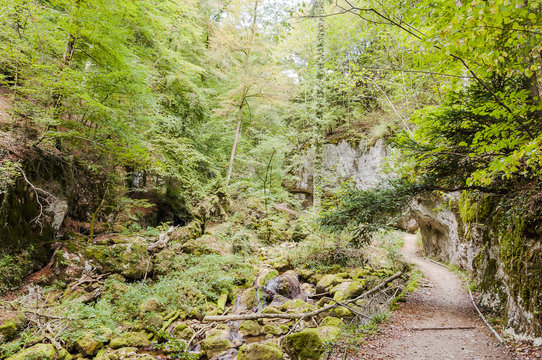 Twann, Twannbachschlucht, Schlucht, Twannberg, Felswand, Felsen, Jurafelsen, Wanderweg, Wald, Waldweg, Herbst, Wanderferien, Jura, Schweiz