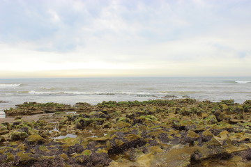 rocas en la playa