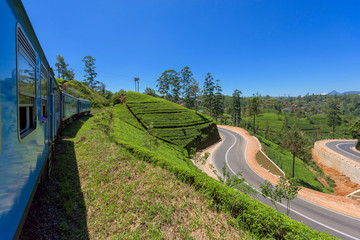 Train among tea plantations in the highlands of Sri Lanka.