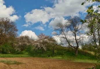 Obraz premium earth colors in the spring