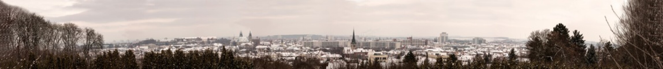 Fototapeta na wymiar Erfurt Panorama