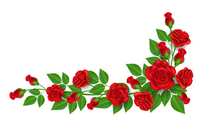 Fototapeta premium Realistic red rose illustration with green leaf, for corner and border decoration, isolated on white