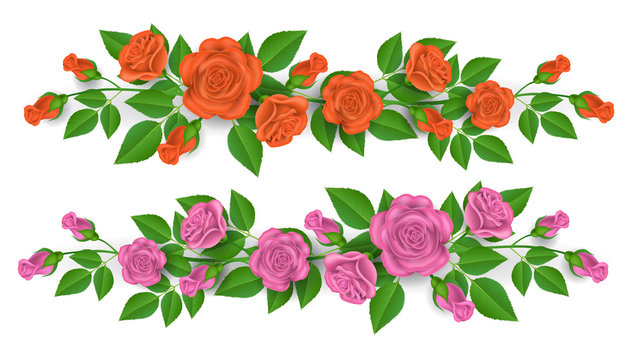 Pink and orange rose border decoration with green leaf. Realistic flower illustration, isolated on white.